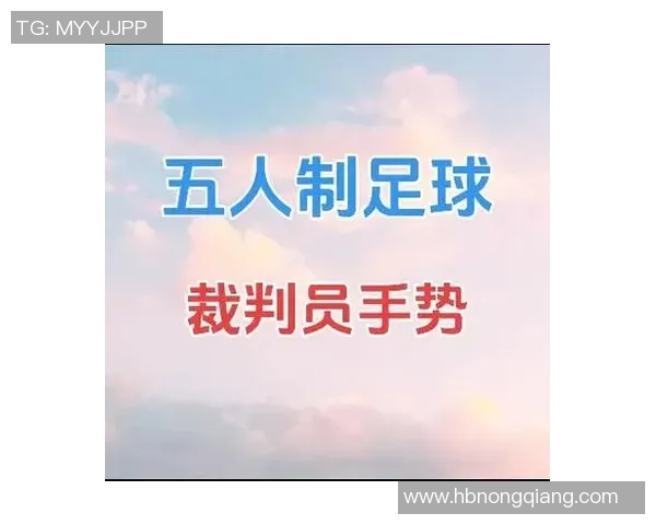 足球判员的职责与挑战解析如何提升比赛公正性与观赏性